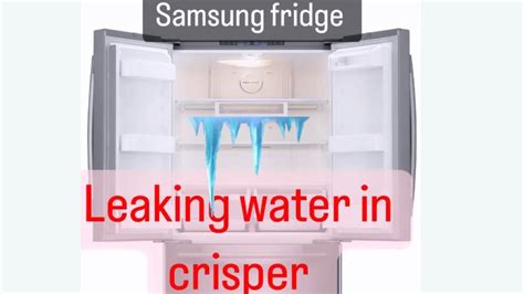 samsung fridge leaking|Samsung Refrigerator Leaking Water